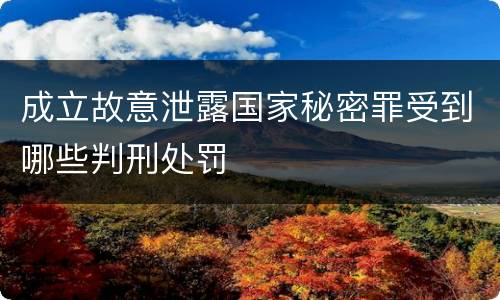 成立故意泄露国家秘密罪受到哪些判刑处罚