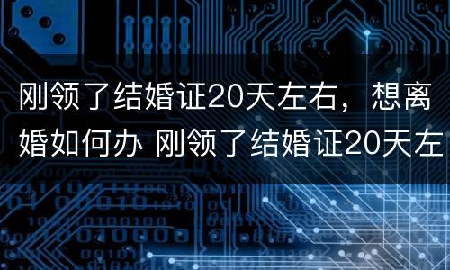 刚领了结婚证20天左右，想离婚如何办 刚领了结婚证20天左右,想离婚如何办手续