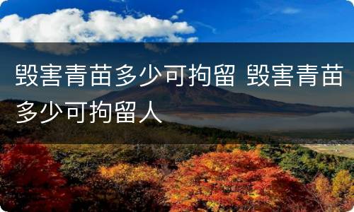 毁害青苗多少可拘留 毁害青苗多少可拘留人