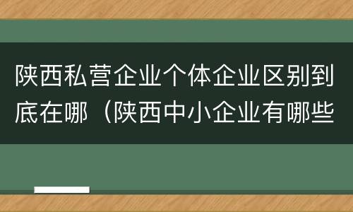 陕西私营企业个体企业区别到底在哪（陕西中小企业有哪些）