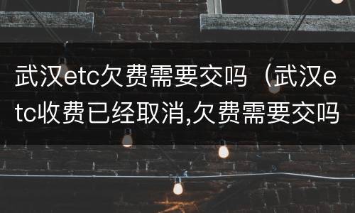 武汉etc欠费需要交吗（武汉etc收费已经取消,欠费需要交吗）