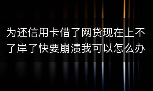 为还信用卡借了网贷现在上不了岸了快要崩溃我可以怎么办