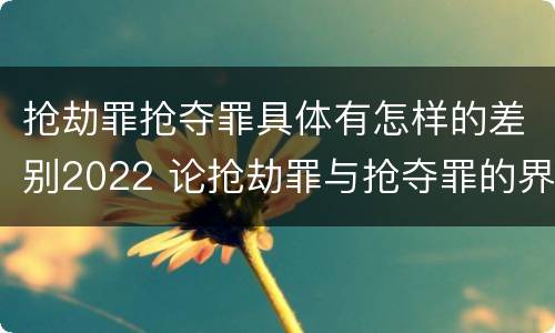 抢劫罪抢夺罪具体有怎样的差别2022 论抢劫罪与抢夺罪的界限