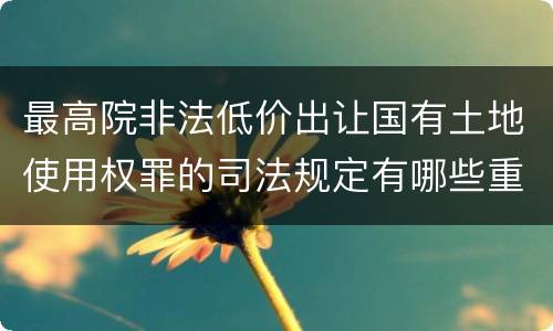 最高院非法低价出让国有土地使用权罪的司法规定有哪些重要内容