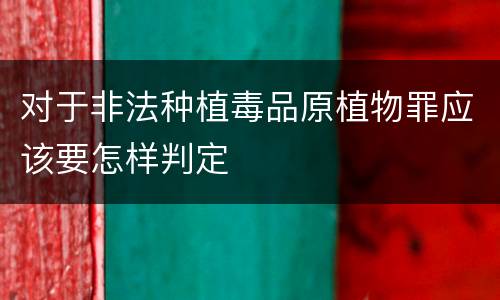 对于非法种植毒品原植物罪应该要怎样判定