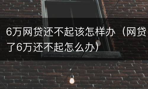6万网贷还不起该怎样办（网贷了6万还不起怎么办）