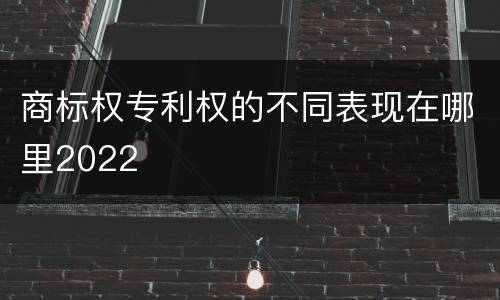 商标权专利权的不同表现在哪里2022
