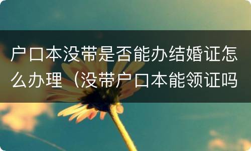 户口本没带是否能办结婚证怎么办理（没带户口本能领证吗）