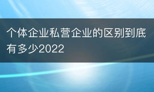 个体企业私营企业的区别到底有多少2022
