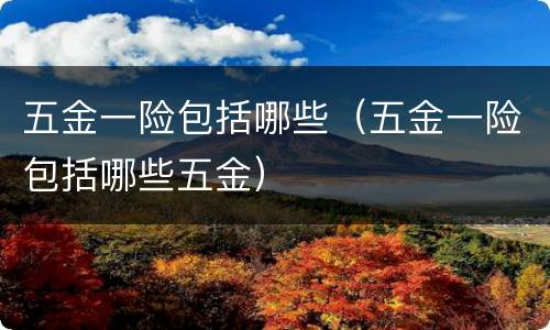 五金一险包括哪些（五金一险包括哪些五金）