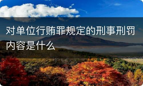 对单位行贿罪规定的刑事刑罚内容是什么