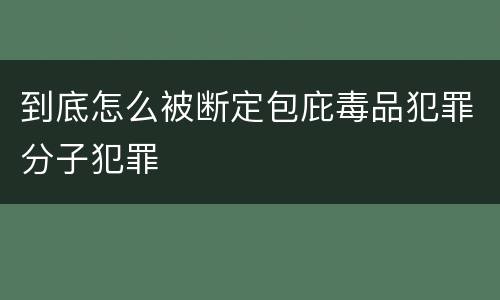 到底怎么被断定包庇毒品犯罪分子犯罪
