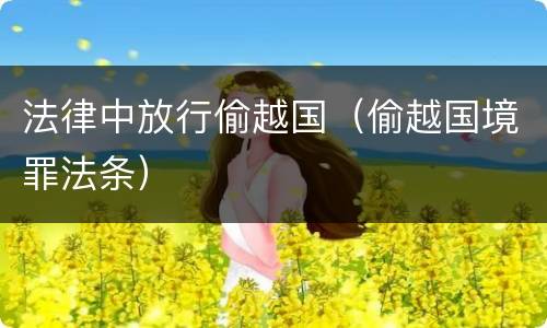 法律中放行偷越国（偷越国境罪法条）