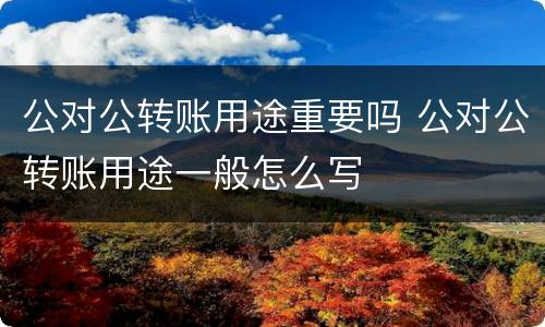 公对公转账用途重要吗 公对公转账用途一般怎么写