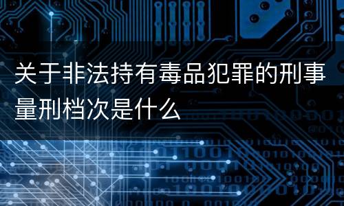 关于非法持有毒品犯罪的刑事量刑档次是什么