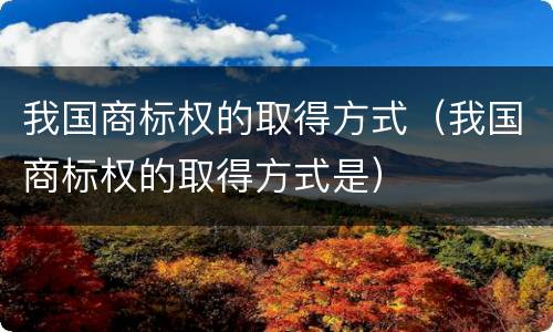 我国商标权的取得方式（我国商标权的取得方式是）