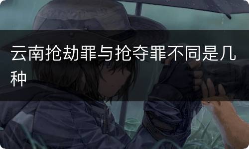云南抢劫罪与抢夺罪不同是几种