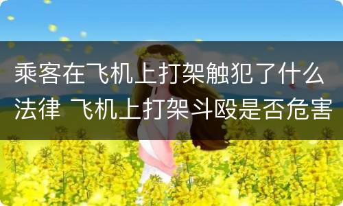 乘客在飞机上打架触犯了什么法律 飞机上打架斗殴是否危害航空安全