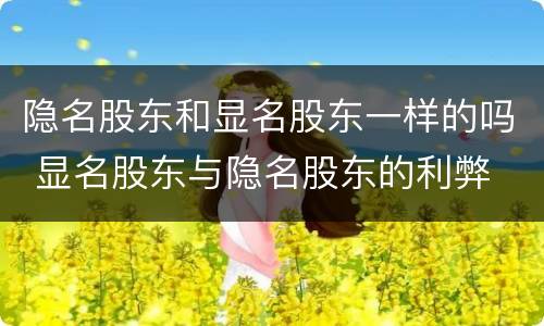 隐名股东和显名股东一样的吗 显名股东与隐名股东的利弊
