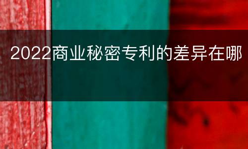 2022商业秘密专利的差异在哪