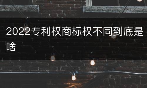 2022专利权商标权不同到底是啥