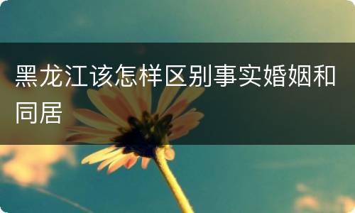 黑龙江该怎样区别事实婚姻和同居