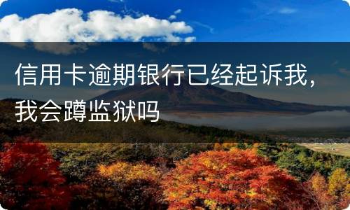 信用卡逾期银行已经起诉我，我会蹲监狱吗
