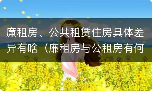 廉租房、公共租赁住房具体差异有啥（廉租房与公租房有何区别）