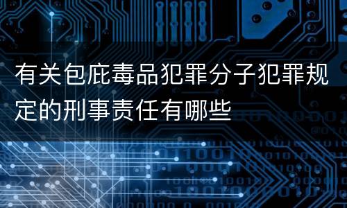 有关包庇毒品犯罪分子犯罪规定的刑事责任有哪些