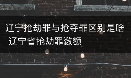 辽宁抢劫罪与抢夺罪区别是啥 辽宁省抢劫罪数额