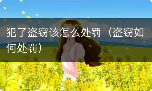 犯了盗窃该怎么处罚（盗窃如何处罚）