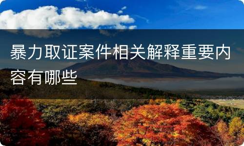 暴力取证案件相关解释重要内容有哪些