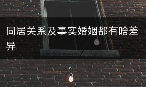 同居关系及事实婚姻都有啥差异