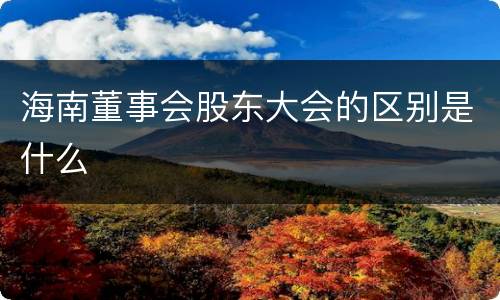 海南董事会股东大会的区别是什么