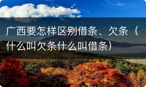 广西要怎样区别借条、欠条（什么叫欠条什么叫借条）