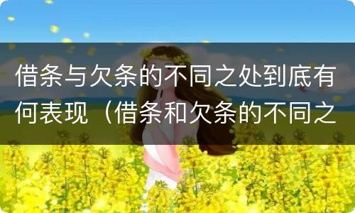 借条与欠条的不同之处到底有何表现（借条和欠条的不同之处有哪些）