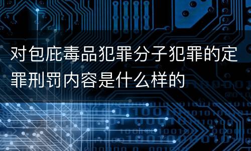 对包庇毒品犯罪分子犯罪的定罪刑罚内容是什么样的