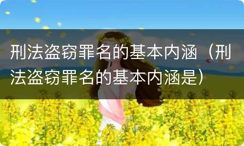 刑法盗窃罪名的基本内涵（刑法盗窃罪名的基本内涵是）