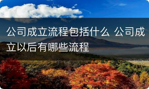 公司成立流程包括什么 公司成立以后有哪些流程