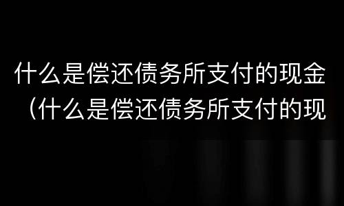 什么是偿还债务所支付的现金（什么是偿还债务所支付的现金流量）