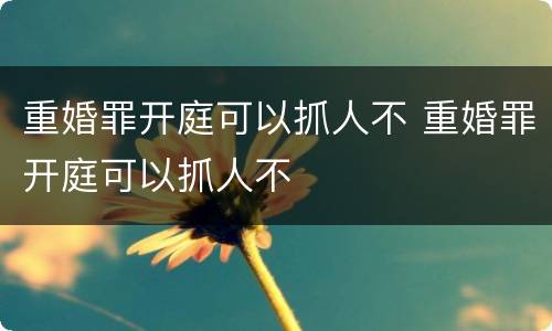 重婚罪开庭可以抓人不 重婚罪开庭可以抓人不