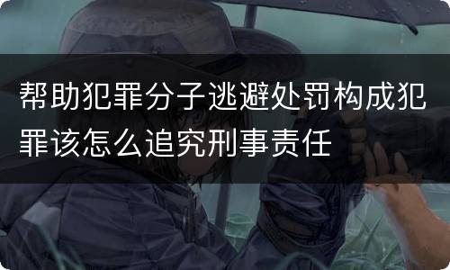 帮助犯罪分子逃避处罚构成犯罪该怎么追究刑事责任