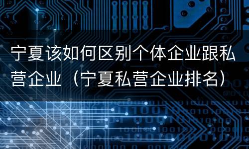 宁夏该如何区别个体企业跟私营企业（宁夏私营企业排名）