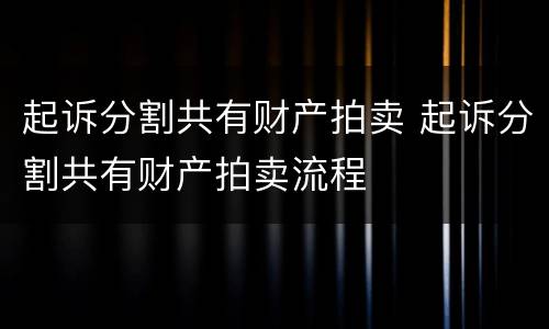 起诉分割共有财产拍卖 起诉分割共有财产拍卖流程