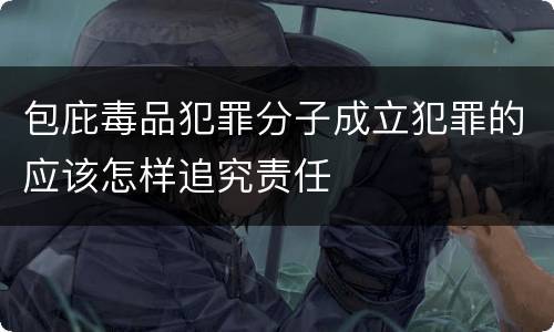 包庇毒品犯罪分子成立犯罪的应该怎样追究责任