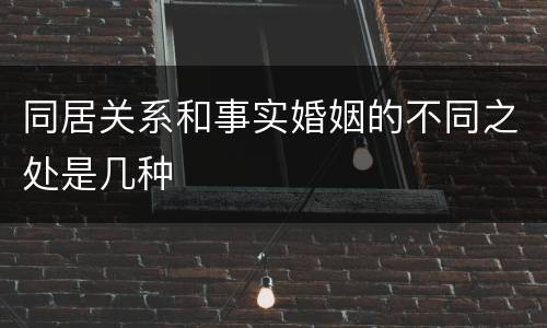 同居关系和事实婚姻的不同之处是几种
