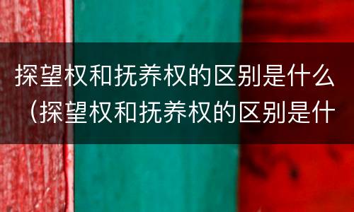 探望权和抚养权的区别是什么（探望权和抚养权的区别是什么呢）