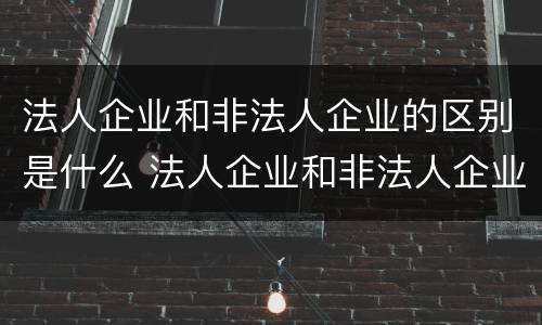 法人企业和非法人企业的区别是什么 法人企业和非法人企业的区别是什么呢