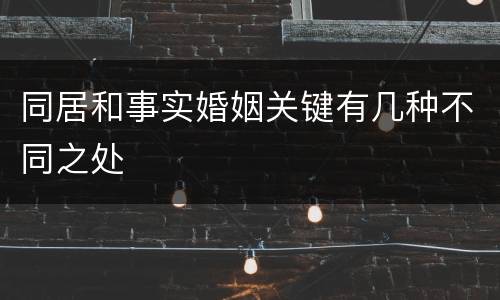 同居和事实婚姻关键有几种不同之处