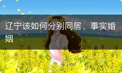 辽宁该如何分别同居、事实婚姻